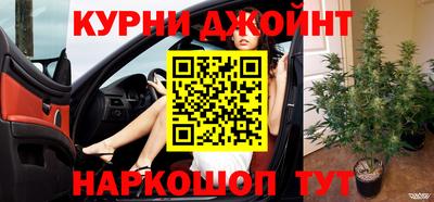 мяу мяу мука Будённовск