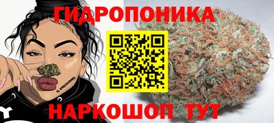 мяу мяу мука Будённовск