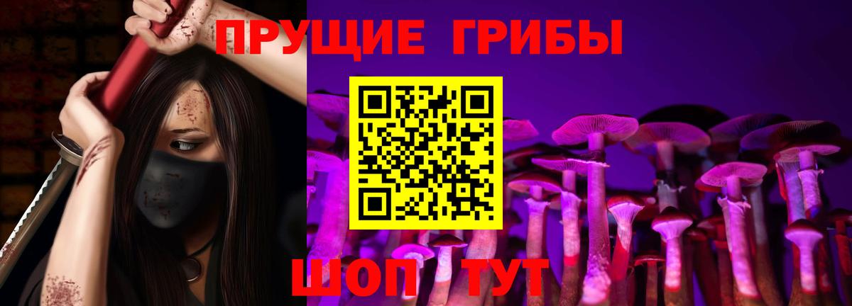Галлюциногенные грибы прущие грибы  Псилоцибиновые грибы прущие грибы  Вход с VPN  Шумерля 